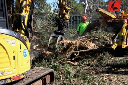 Selective Land Clearing