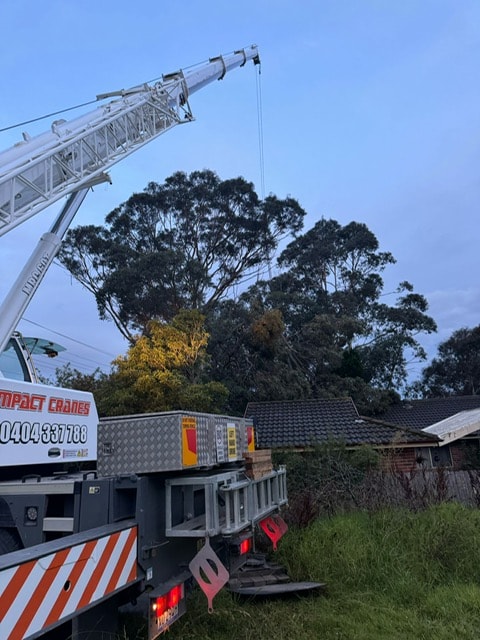 Crane set up for backyard tree removal in the East Ryde service area