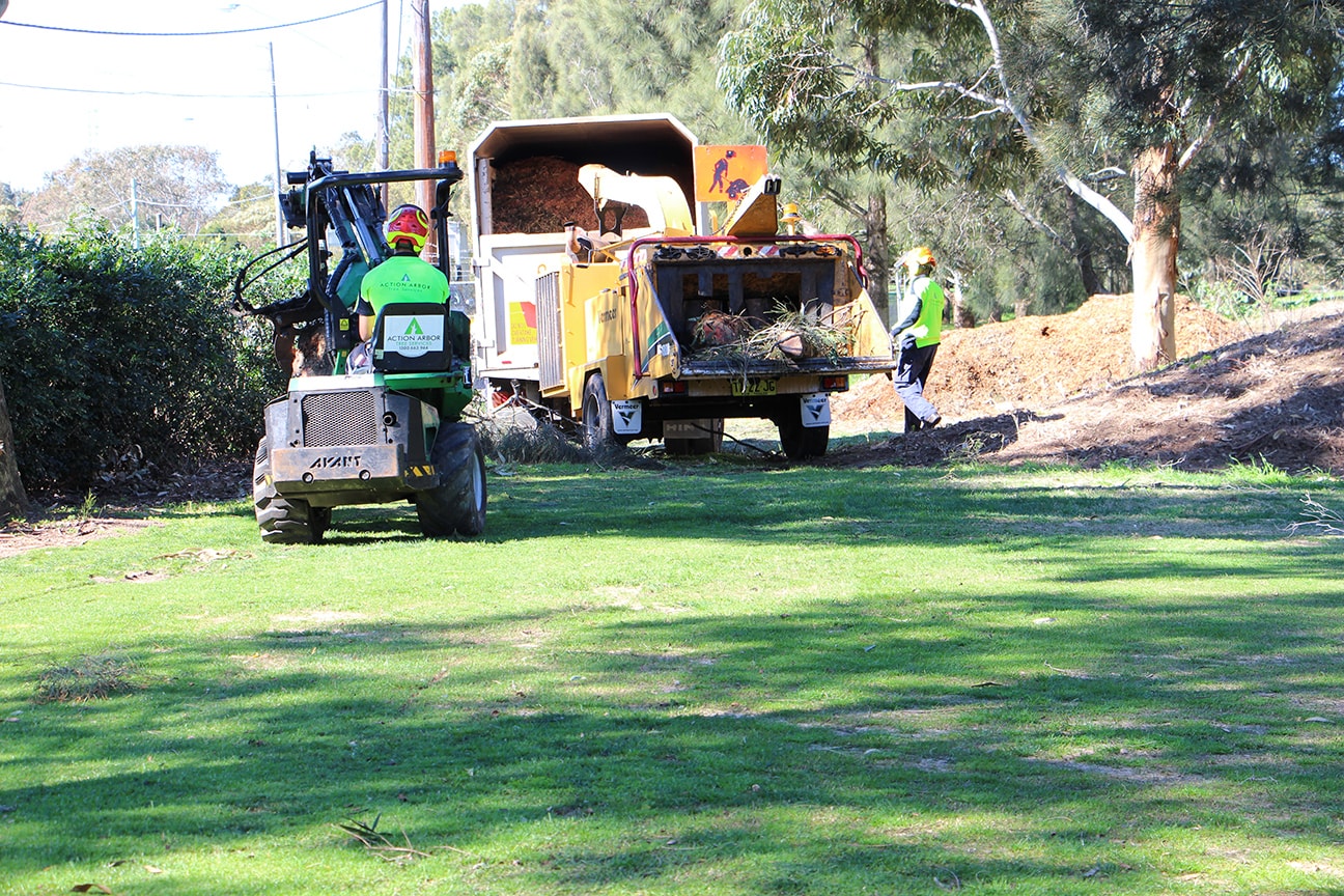 Professional land clearing services in the Hills District of Sydney