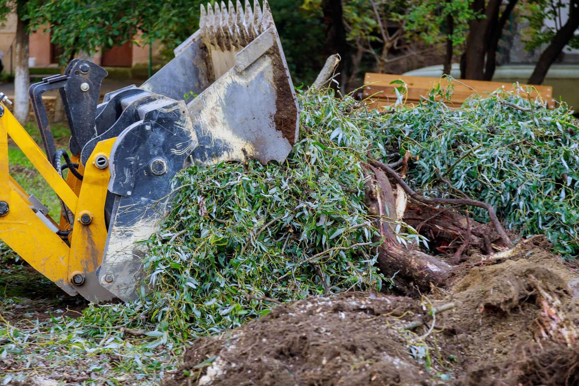 Land Clearing North Epping