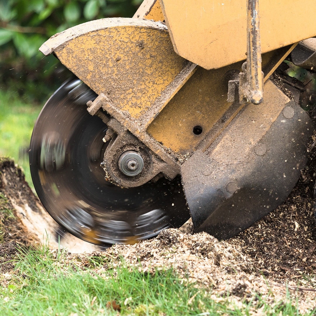 Residential Stump Grinding