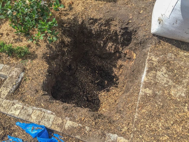 Deep Root Removal