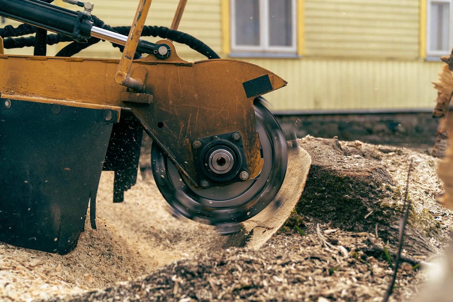 Professional stump grinding service in the Hills District of Sydney