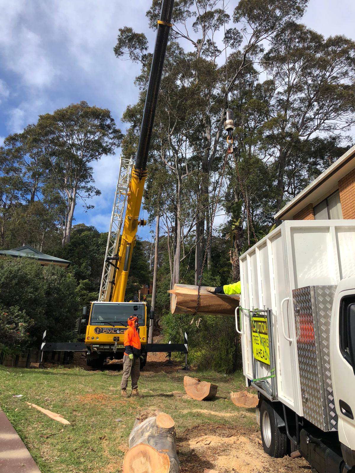 Crane-assisted large gum removal in the Hornsby service area